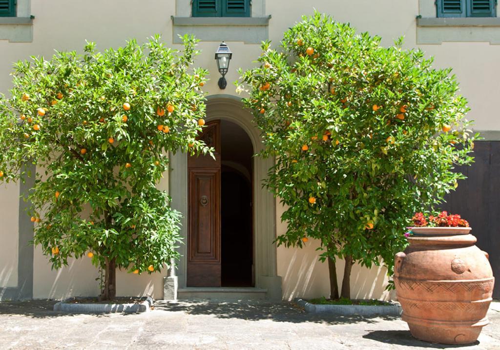Villa Da Vinci Kültér fotó